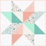 Barn Star in coral by Barn Star in coral by