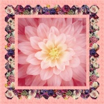 Simple Path in Peony by Simple Path in Peony by