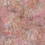 MR43-59-Coral <!DATE>