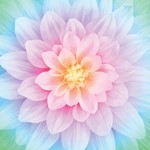 WP4389-132-Opal <!DATE>