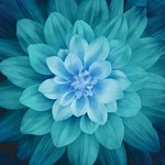 WP4389-21-Teal <!DATE>