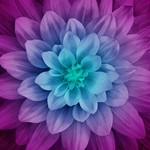 WP4389-532-Aurora <!DATE>