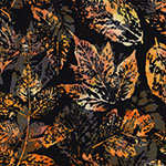 X2650-595-October <!DATE>