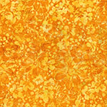 X2651-460-Squash <!DATE>
