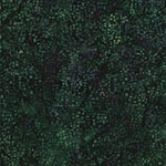 X2655-272-Mallard <!DATE>