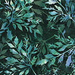 X2646-225-Rosemary <!DATE>