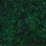 X2646-31-Emerald <!DATE>