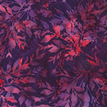X2646-378-Jelly <!DATE>