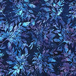 X2646-424-Salvia <!DATE>