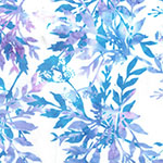 X2646-183-Glacier <!DATE>