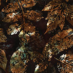 X2650-704-Deep Earth <!DATE>