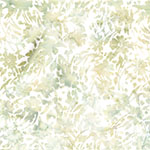 X2656-84-Wheat <!DATE>