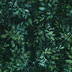 X2646-60-Hunter <!DATE>