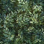 X2646-141-Pine <!DATE>