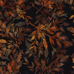 X2646-160-Spice <!DATE>