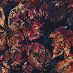 X2650-714-Fall <!DATE>
