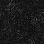 X2655-213-Onyx <!DATE>
