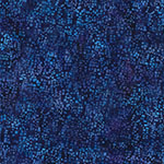 X2655-424-Salvia <!DATE>