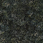 X2655-768-Seaweed <!DATE>