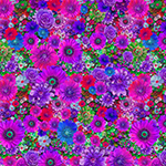 Y5803-23-Fuchsia <!DATE>