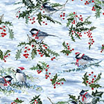 Y5772-698-Iceberg <!DATE>