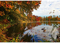 Y5790-311-Lake <!DATE>