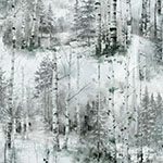 Y5797-483-Fog <!DATE>