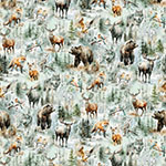 Y5798-521-Mist <!DATE>