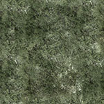 Y5800-98-Moss <!DATE>