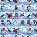 Y5767-621-Arctic-Blue <!DATE>