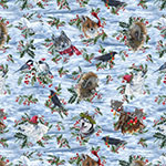 Y5768-621-Arctic-Blue <!DATE>