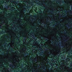 Y2686-161-Christmas <!DATE>