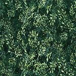 Y2670-252-Dublin <!DATE>