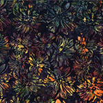 Y2678-241-Sonoma <!DATE>