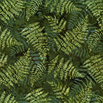 Y2669-220-Fern <!DATE>