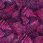 Y2669-405-Wild-Berry <!DATE>