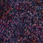 Y2677-88-Boysenberry <!DATE>