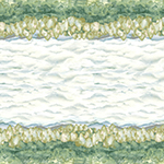 DPN013-101-Evening <!DATE>