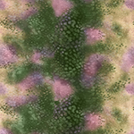 DPN001-222-Hydrangea <!DATE>