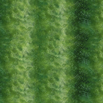 DPN001-8-Green <!DATE>