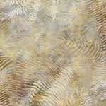 MRD3-118-Honey <!DATE>