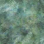 MRD3-220-Fern <!DATE>