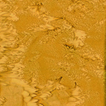 1895 432-Dijon <!DATE>