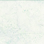 1895 698-Iceberg <!DATE>