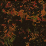 1384-540-Woodstock <!DATE>