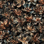 X5698-128-Midnight <!DATE>