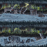 X5710-765-Wintery Cold <!DATE>