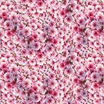 X5725-12-Pink <!DATE>