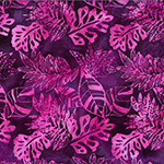 Y2691-438-Crocus <!DATE>