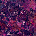 Y2708-286-Sugarplum <!DATE>